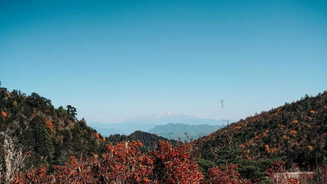 束口包