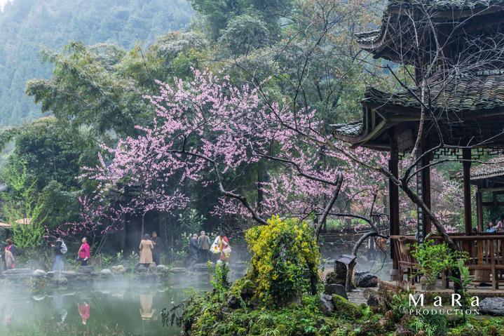 回顾总结促提升 铆足干劲踏新程——晏家坪街道召开2023年度干部述职评议大会