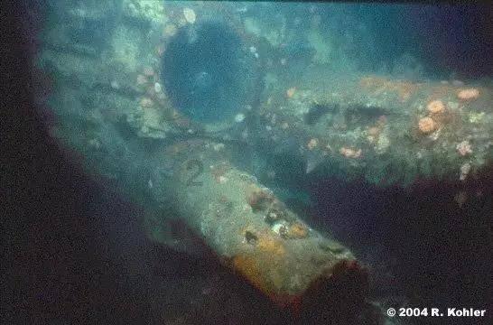 虫虫助手下载