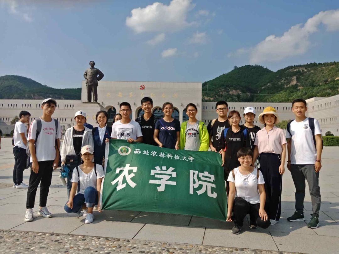 幽灵王营救