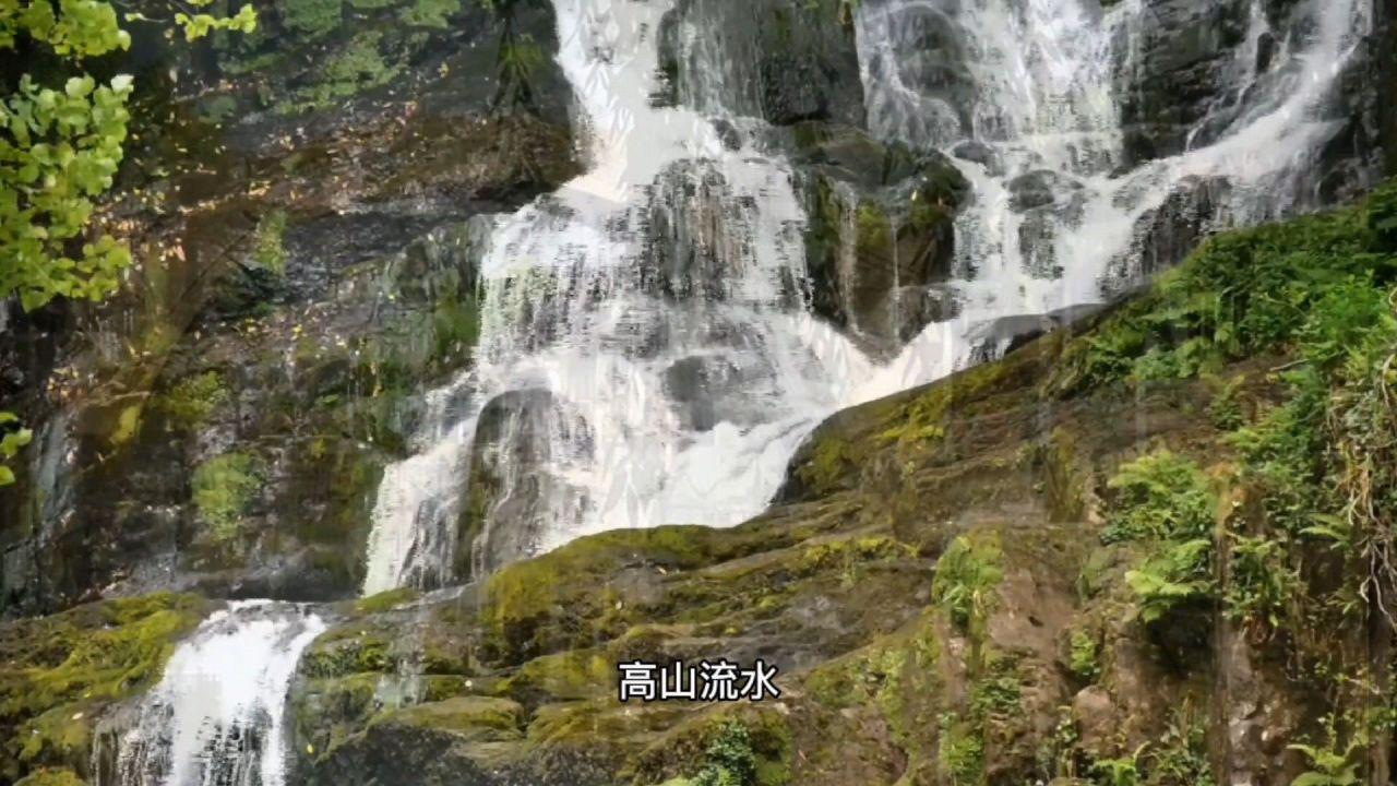 嘉日单词