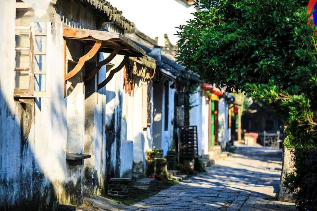 刺客信条：大革命